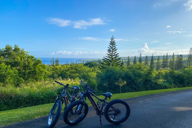 West Maui Electric Bike Rentals - Additional Information
