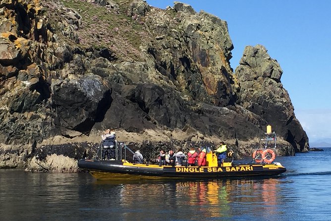 Western Ireland: Dingle Peninsula Small-Group RIB Boat Tour - Viator and Booking Information