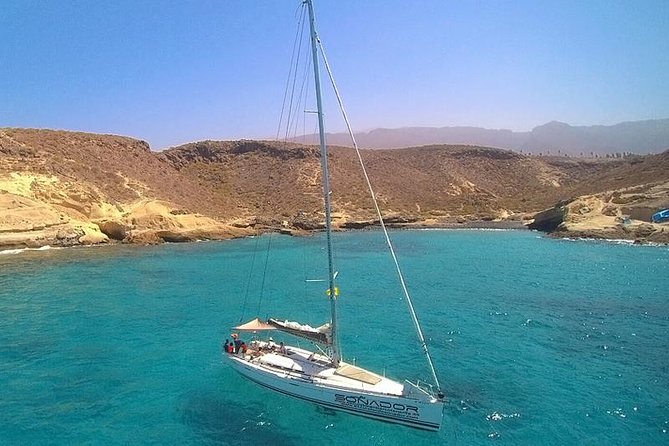Whale and Dolphin Watching Cruise With Snacks & Open Bar - Pricing and Copyright