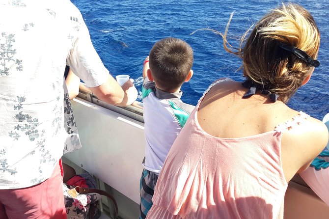Whale Watching and Dolphin Spotting Cruise - Mixed Results in Spotting Whales