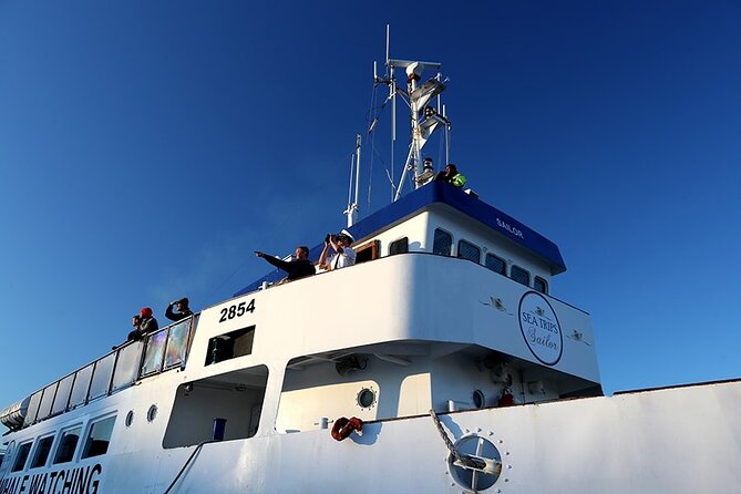 Whale Watching and Marine Life Tour in Reykjavik - End Point and Cancellation Policy