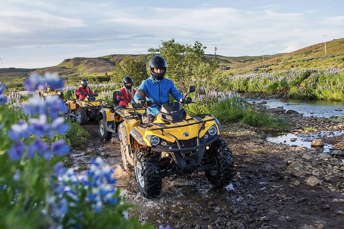 Whale Watching & ATV Adventure From Reykjavik - Common Questions