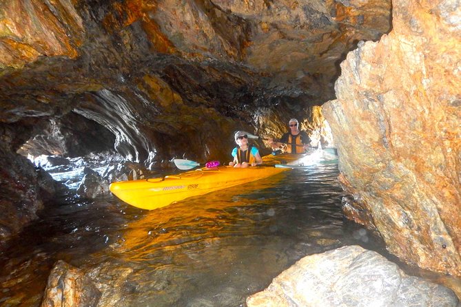 Whale Watching by Sea Kayak in Batemans Bay - Common Questions