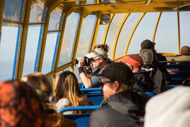 Whale-Watching Tour From Vancouver - Positive Experiences and Customer Service