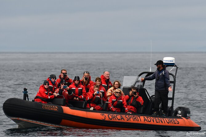 Whale Watching Tour in a Zodiac Boat in Victoria - Customer Experiences