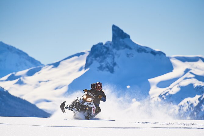 Whistler Wilderness Run Snowmobile Tour - Pricing and Guarantee