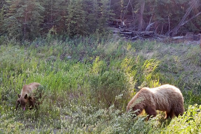 Whitehorse Small-Group Skagway Day Tour - Free Time for Self-Exploration