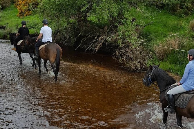Wicklow Monutains Horse Trekking - Common Questions