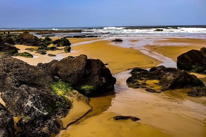 Wild and Wonderful West Coast Full Day Tour - Common Questions