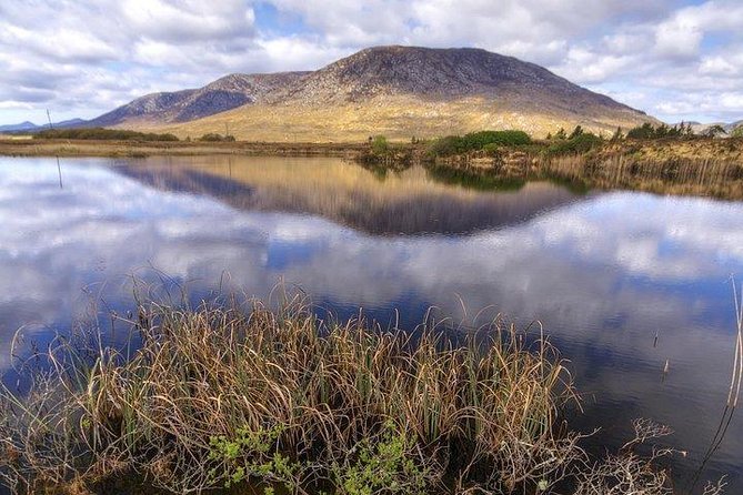 Wild Brown Trout Fishing. Lough Corrib. French Speaking Ghillie/Guide. Full Day. - Language and Accessibility