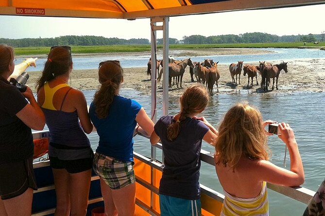 Wild Pony Watching Boat Tour From Chincoteague to Assateague - Reviews