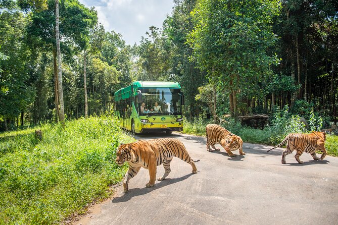 Wild & Wonderful! VinWonders & Safari Park Adventure by ODEON - The Sum Up