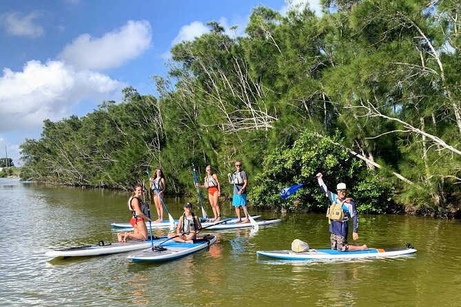 Wildlife Refuge Manatee, Dolphin & Mangrove Kayak or Paddleboarding Tour! - Wildlife Sightings