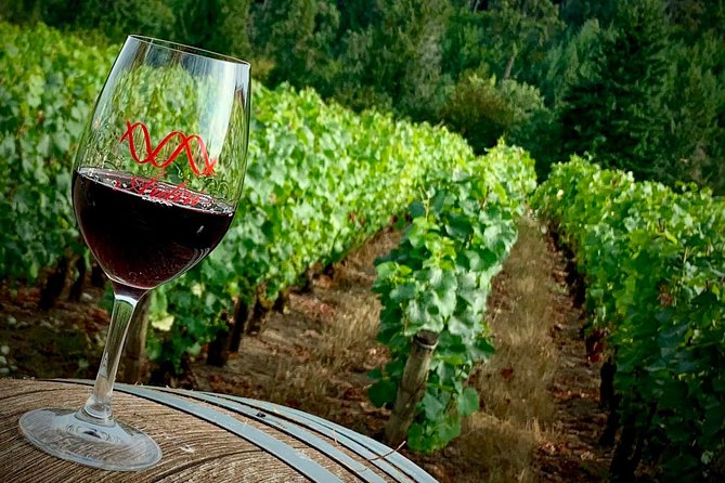 Willamette Valley Wine Tour From Portland (Tasting Fees Included) - What To Expect