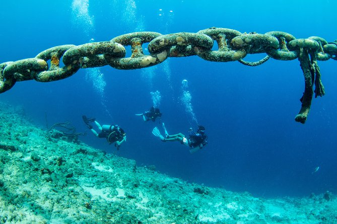 Willemstad Private Introductory Dive  - Curacao - Meeting and Pickup