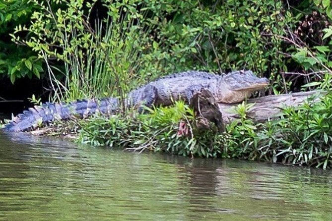 Wilmington Blackwater River Cruise - Inclusions