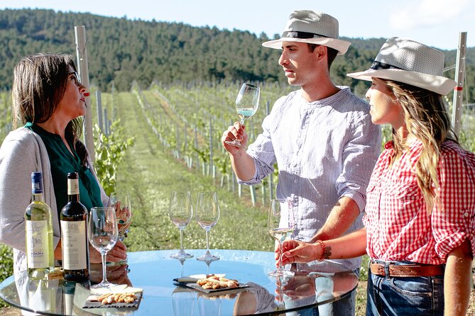 Wine and Petiscos Tasting Experience in A Guarda - Common Questions