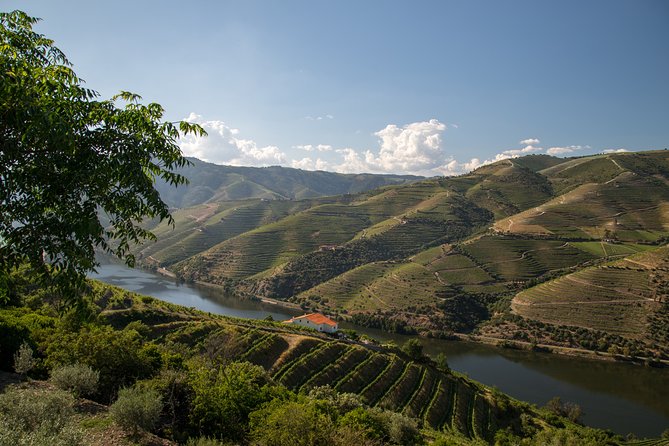 Wine Experience With a Sommelier - Insider Tips for Buying Wine
