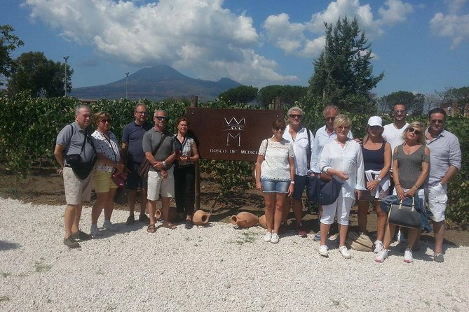 Wine Tasting and Excursion to the Mt. Vesuvius From Pompeii - Directions