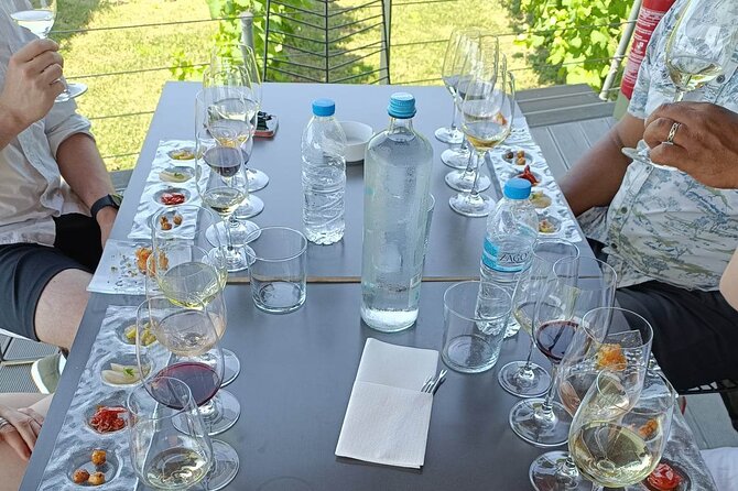 Wine Tasting Experience From Thessaloniki - Assistance and Support: Viator Help Center