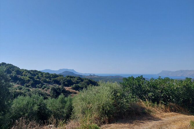 Wine Tasting: Meet the Cretan Vineyard at West Chania - Important Information for Participants