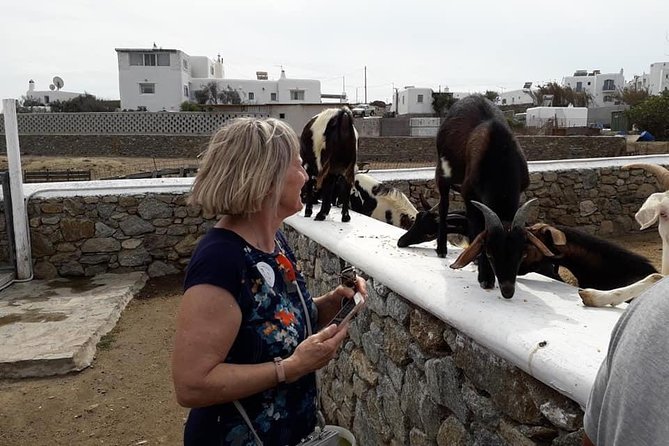 Wine Tasting Tour at a Traditional Farm in Mykonos - Inclusions and Cancellation Policy