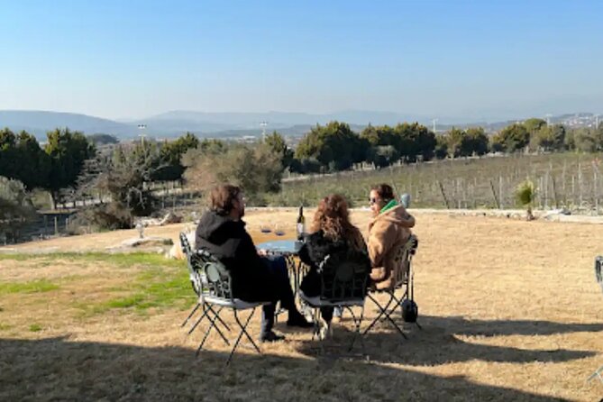 Wine Tasting Tour at Two Wineries in Urla Turkey - Directions