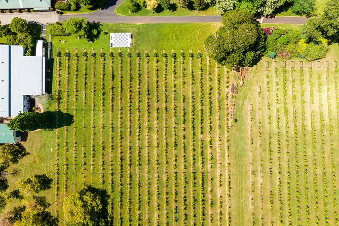 Wine Tasting Tour to Tamborine Mountain - Additional Info