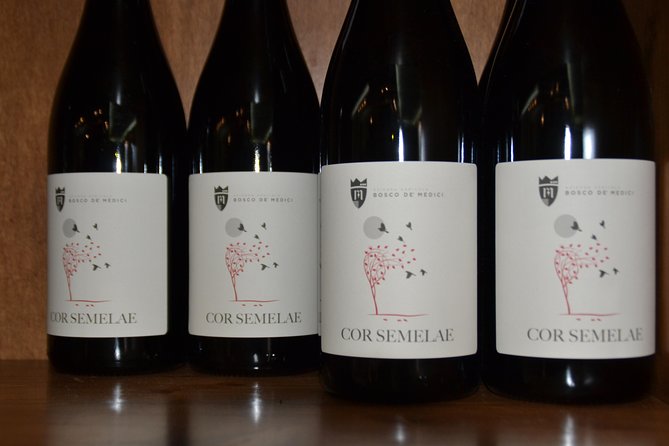 Wine Tour Experience for Family or Friends Group - Price and Availability