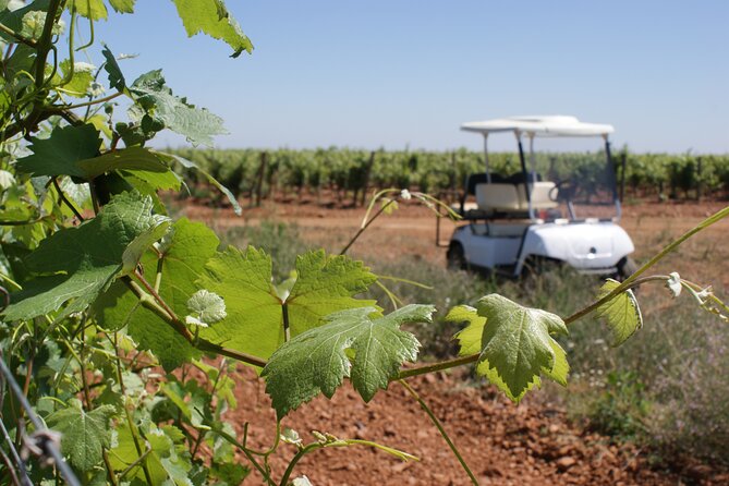 Wine Tourism: Wine Tasting - Benefits of Wine Tourism