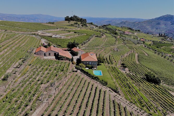 Winery Tour and Wine Tasting Quinta Da Portela De Baixo in Lamego - Common Questions