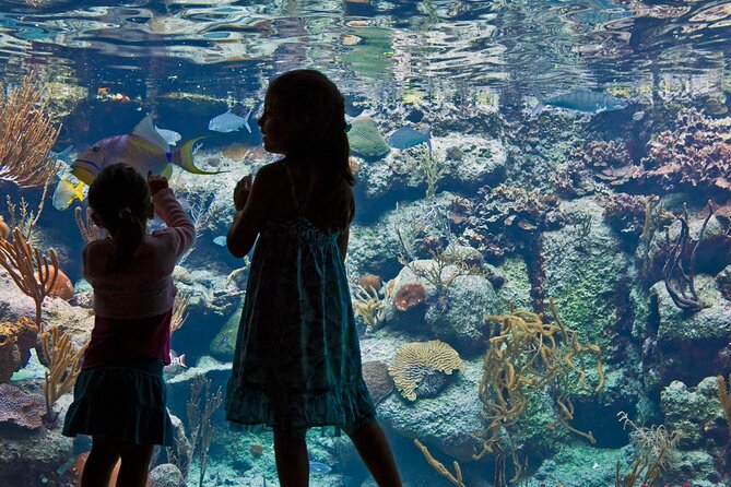 Xcaret Park Plus Access With Transportation and Night Show - Reviews and Questions