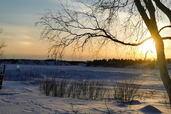 Yellowknife City Tour Natures North Wildlife Gallery - Pricing and Additional Fees