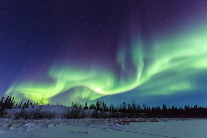 Yellowknife Tours - Aurora by Bus - What To Expect