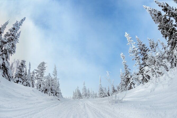 Yellowstone & Grand Teton National Parks Winter Tour: Small Group 4-Day Tour - Visit Great Salt Lake and Big Sky, Montana