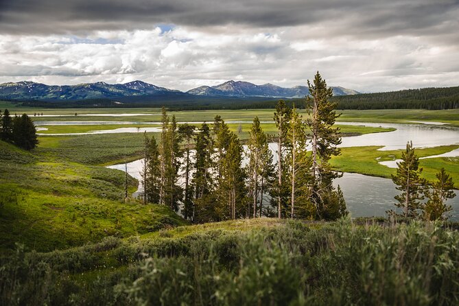 Yellowstone National Park Tour From Jackson Hole - Positive Reviews