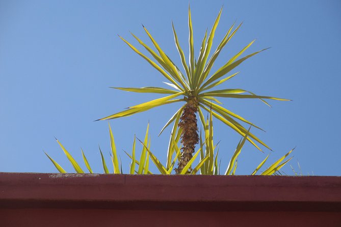 Yoga and Wellness Half-Day in an Authentic Marrakech Riad - Meeting and Pickup Details