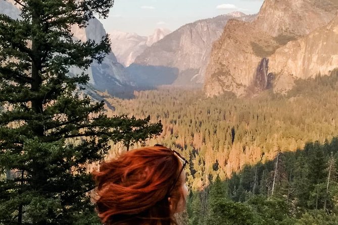 Yosemite National Park and Giant Sequoias Tour From San Jose - What to Expect