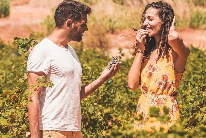 Your Private Driver & Chauffeur Service in Crete From Chania - Common Questions