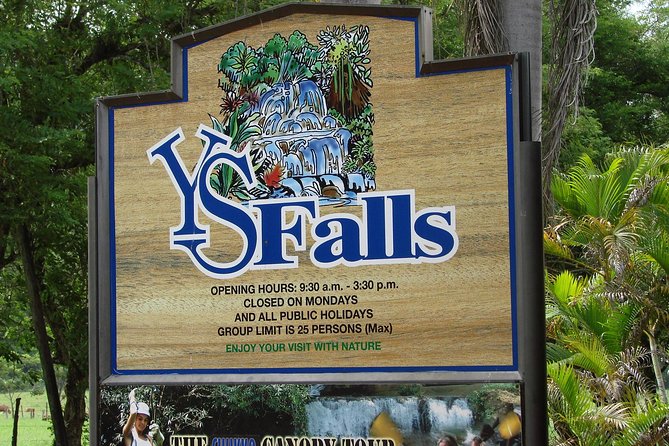 YS Falls, Black River Safari, and Floyds Pelican Bar Day-Trip (Transportation) - Common Questions