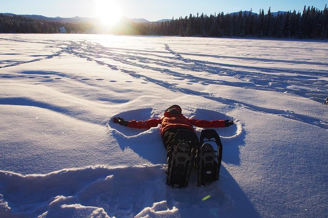 Yukon Snowshoeing Adventure Half Day - Directions and How to Book the Half Day Adventure