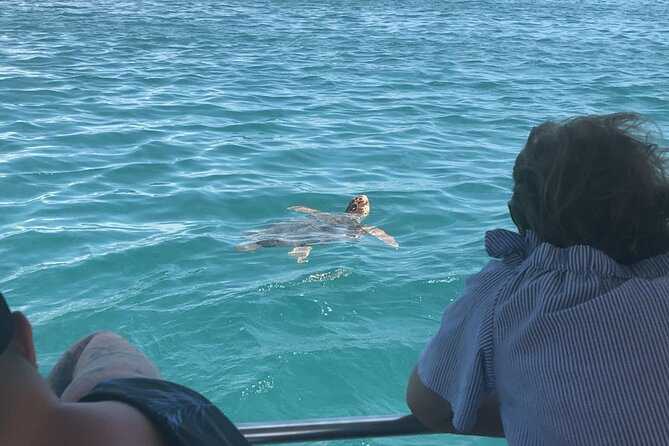 Zakynthos Small-Group Half-Day Trip: Turtles and Marathonisi - Cancellation Policy and Weather Considerations