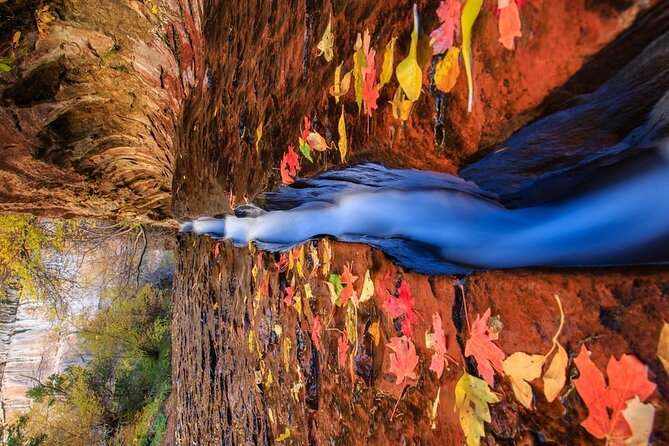 Zion, Bryce, & Antelope Canyon Adventure: Small Group 3-Day Tour - Price and Availability