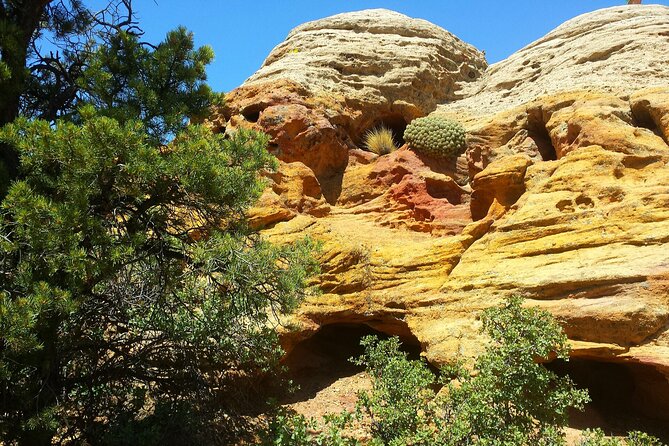 Zion UTV Morning Tour - The Sum Up