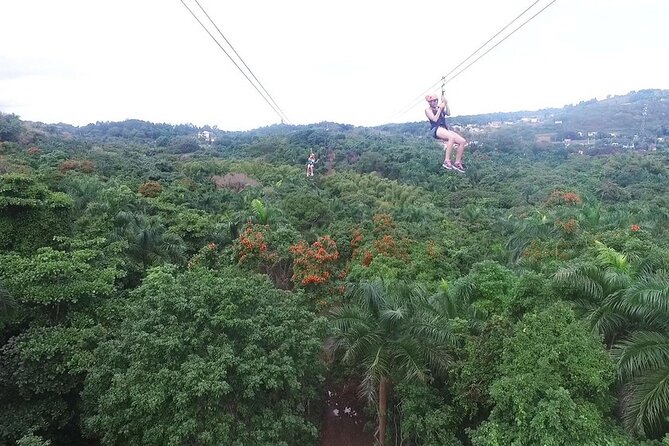 Zipline Canopy Adventure Tour From San Juan - Zipline Sections and Length