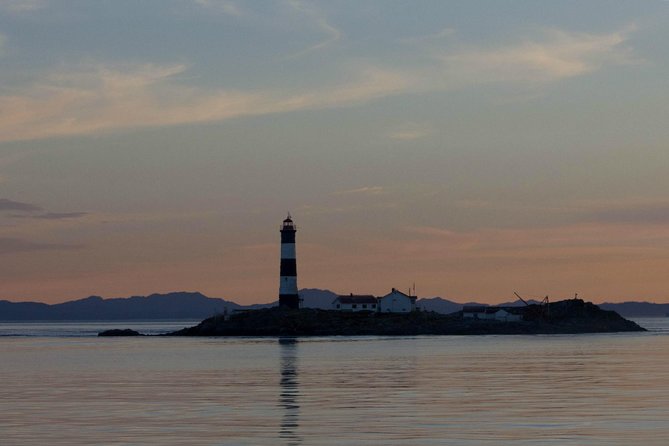 Zodiac Marine Wildlife Excursion From Victoria - Abundant Wildlife Sightings