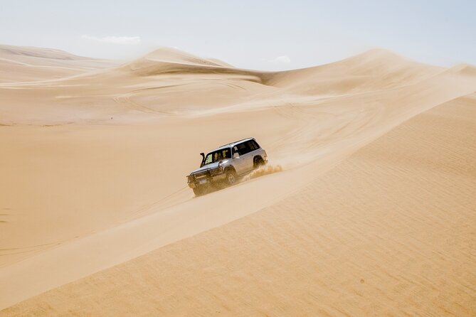 25 Best Safari Tours In Cairo