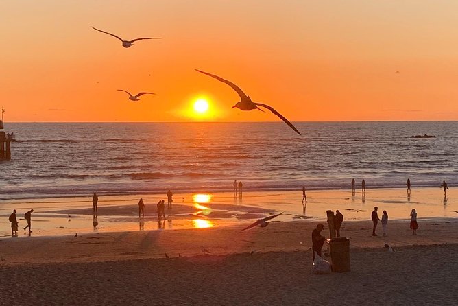 5.5-Hour Exclusive Malibu Stars Homes & Beautiful Beach Tour - Good To Know