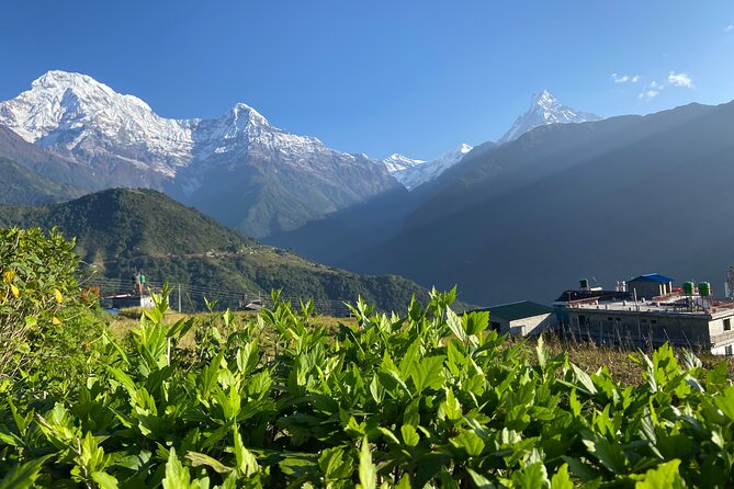 5-Day Ghorepani Poon Hill Trek From Kathmandu - Inclusions and Exclusions