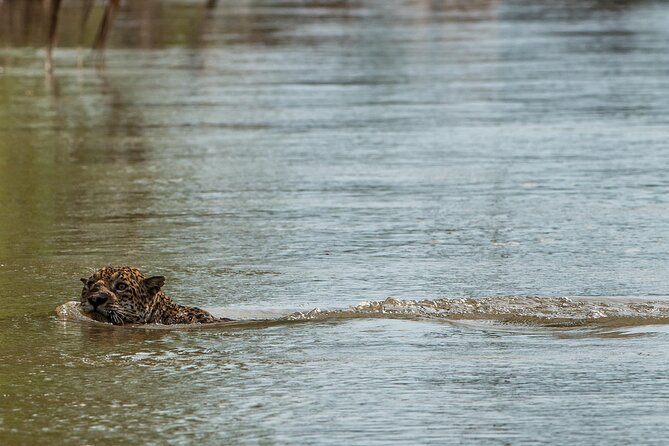 5-Day Manu Expedition . - Good To Know